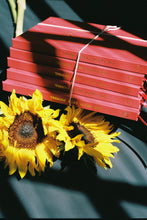 Load image into Gallery viewer, Complete Set of ORIGINAL Ouroboros Onion Skin Journal