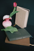 Load image into Gallery viewer, The Newsie Journal