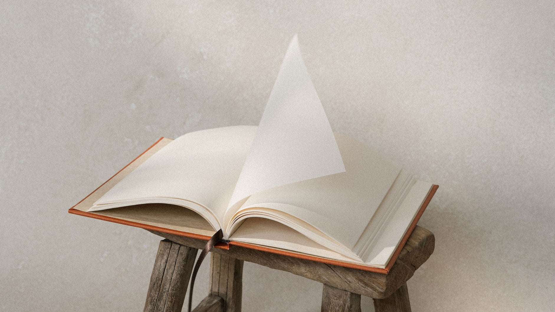 THE ONION SKIN JOURNAL 
